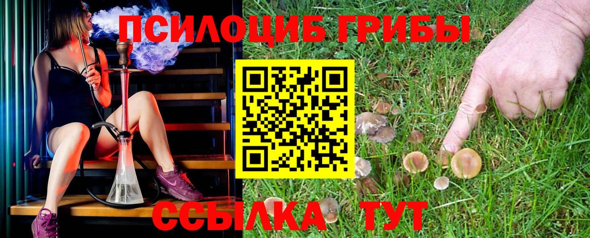 Псилоцибиновые грибы Cubensis  Вход с VPN  Киров 
