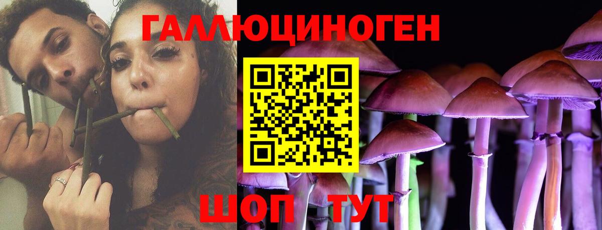 Псилоцибиновые грибы Psilocybe Киров